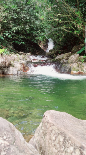 Cascades