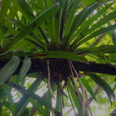 Myscreen 2022 08 17 22 17 12