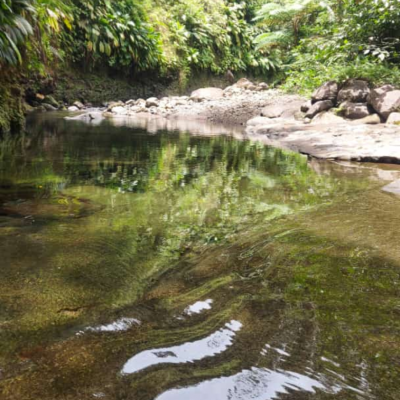 Myscreen 2022 08 17 22 17 38