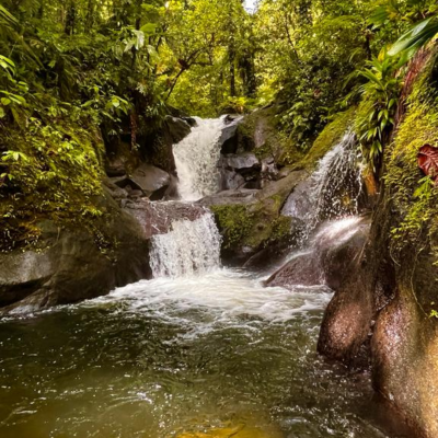 Myscreen 2022 08 29 13 24 41