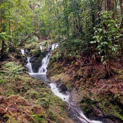 Myscreen 2022 10 29 00 18 20