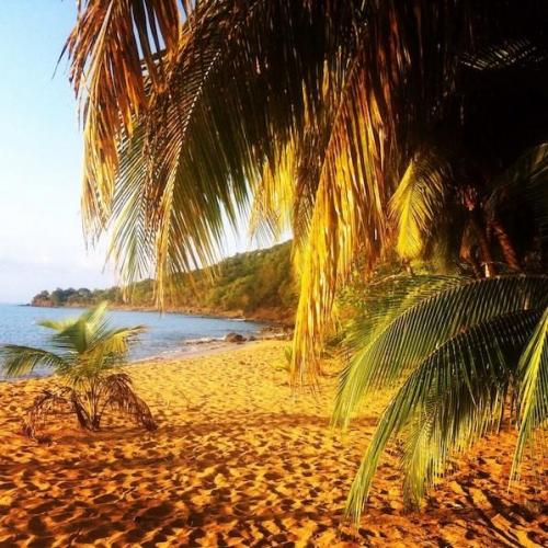 Plage de grand anse