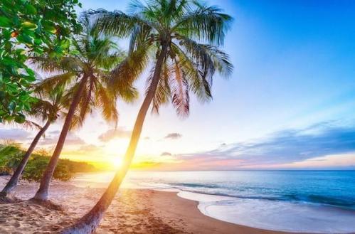 Plage la perle