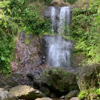 Screenshot 20231203 111356 whatsapp 1